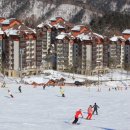 풀베르데 이미지