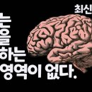 뇌에는 기억을 이렇게 만든다. 이미지