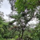 영신당약국 이미지