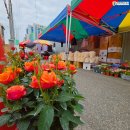 서대전 | 한 바구니에 담긴 봄, 서대전 농협 화요 장터 리얼 후기와 방문 꿀팁
