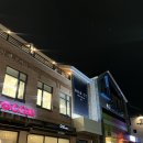 순천애견동반카페 솔드아웃커피 크로넛 테라스내부상세후기