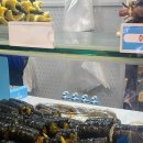 오림2길 이미지