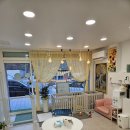 본애견미용실 이미지