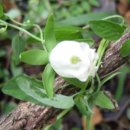 김양규한의원 이미지