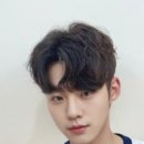 제시 펫 살롱 | 찰떡같은 스타일을 찾아서! 천안 청당동미용실 이젠 정착했네요