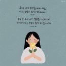 소망2 이미지