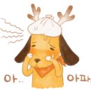 춘천오늘부동산공인중개사사무소 이미지