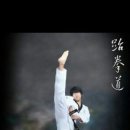 김포JC태권도장
