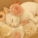 고양이 장례, 어떻게 준비하셨나요? – 21그램 경기광주점에서 보낸 블루의 마지막 여정