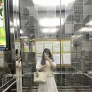 홍주야식 | [24년] 8월_1.zip🔓