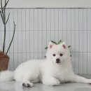 루앤오 이미지