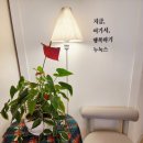 [구미/형곡동] &#34;누눅스&#34; 인생 소금빵 발견! 아기자기 포토존이 있는 카페 [내돈내산]
