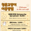 청춘 고양이 카페 이미지