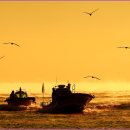 금빛바다 이미지