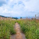 탑산사주차장 이미지