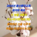 2024년 2월 25일(일) 주일대예배 사사기 21장 1~4절 죄의 사슬을 끊기 위해서 이미지