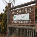 여주곤충박물관 이미지