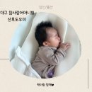 다참 | 대구참사랑어머니회 : 산후도우미 솔직 후기