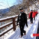 영농조합법인 대운 이미지