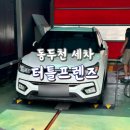 동두천 터틀 프렌즈 이미지