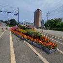 통영교통 이미지