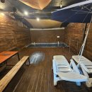 제주벨루가 이미지