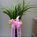 예천동부초등학교 이미지