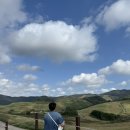 미미메종 이미지