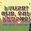 청년 베리팜 이미지