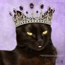 꺼멍머리 이미지