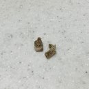 바른멍쿡 이미지