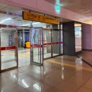 더샘명동 | 명동역 피부과에서 받은 바디온다 온다리프팅 10만줄 내돈내산 효과 바디온다리프팅 솔직후기