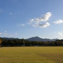 축구장 옆 화단 브런치