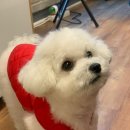 탐복미나리가든 이미지