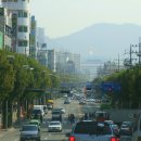 죽향골 청둥오리전문점 유진정 이미지