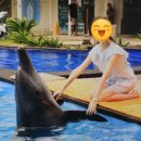 발리마린키즈 이미지