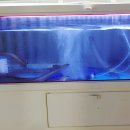 백운로-1 이미지