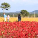 이준호농장 이미지