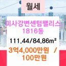 신도시센텀부동산중개 이미지