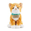 캣 플래닛 이미지