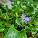 가야공원골프클럽 이미지