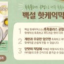 백설민박 이미지