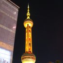 미화헤어뱅크 | 중국 상하이 여행 [251103-1107] 1일차 Shanghai, China