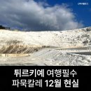 세운교통(주) | 튀르키예 여행 필수 코스 파묵칼레 12월 열기구&amp;패러글라이딩 히에라폴리스 자유여행 후기