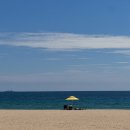 기장꼼장어 이미지