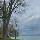 LAKE 45(레이크 45) | 여행기 / 나이아가라 온더레이크(Niagara-on-the-Lake), 온타리오호수, 뉴욕 우드버리 아울렛 후기 - 7