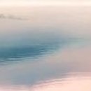 발안제일의원 이미지