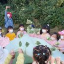 대죽도 유아숲체험원 이미지