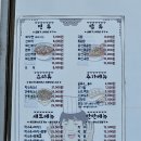 노완기 손짜장일번지 이미지