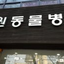 다원동물병원 이미지